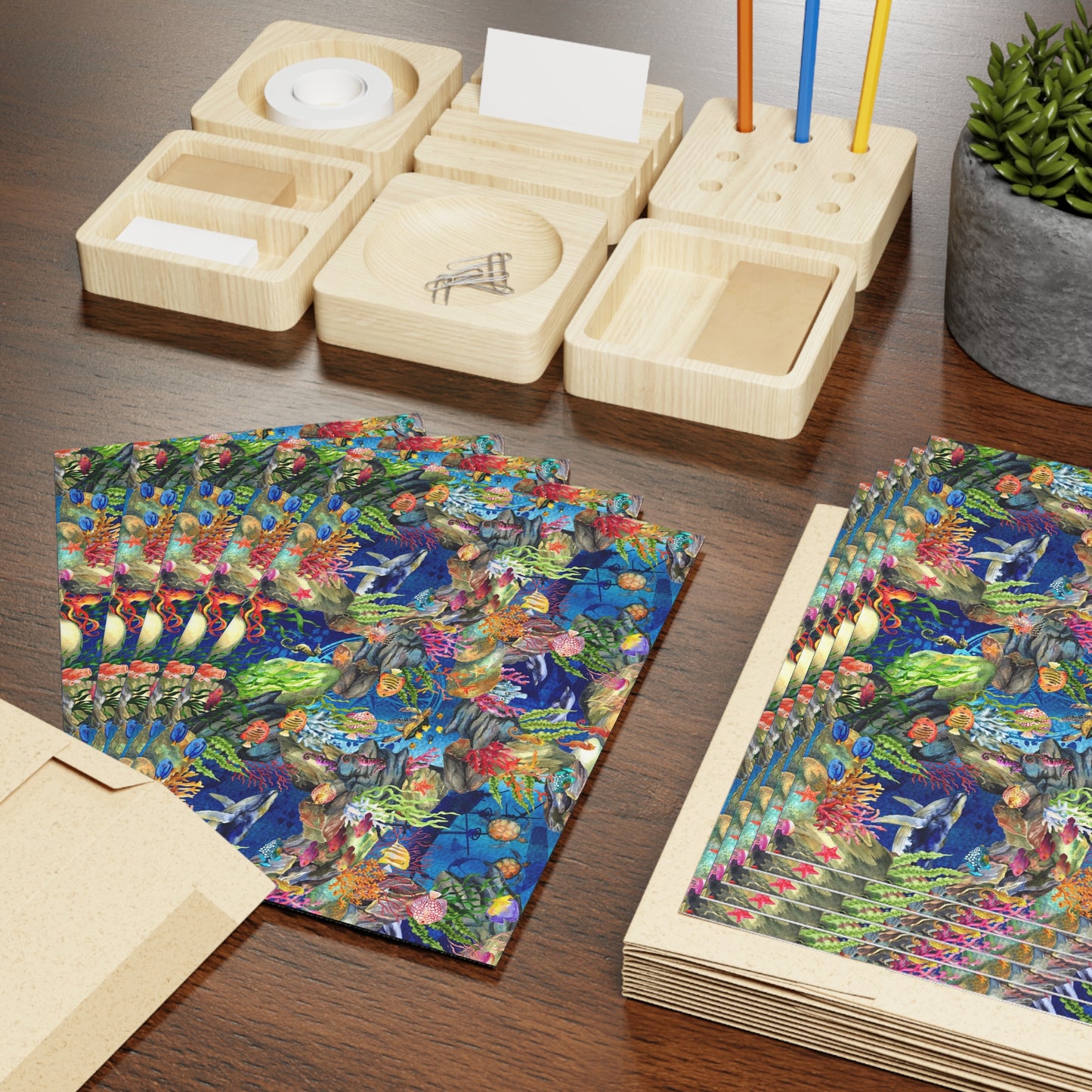 NOTE CARDS: CALYPSO [Undersea Life]