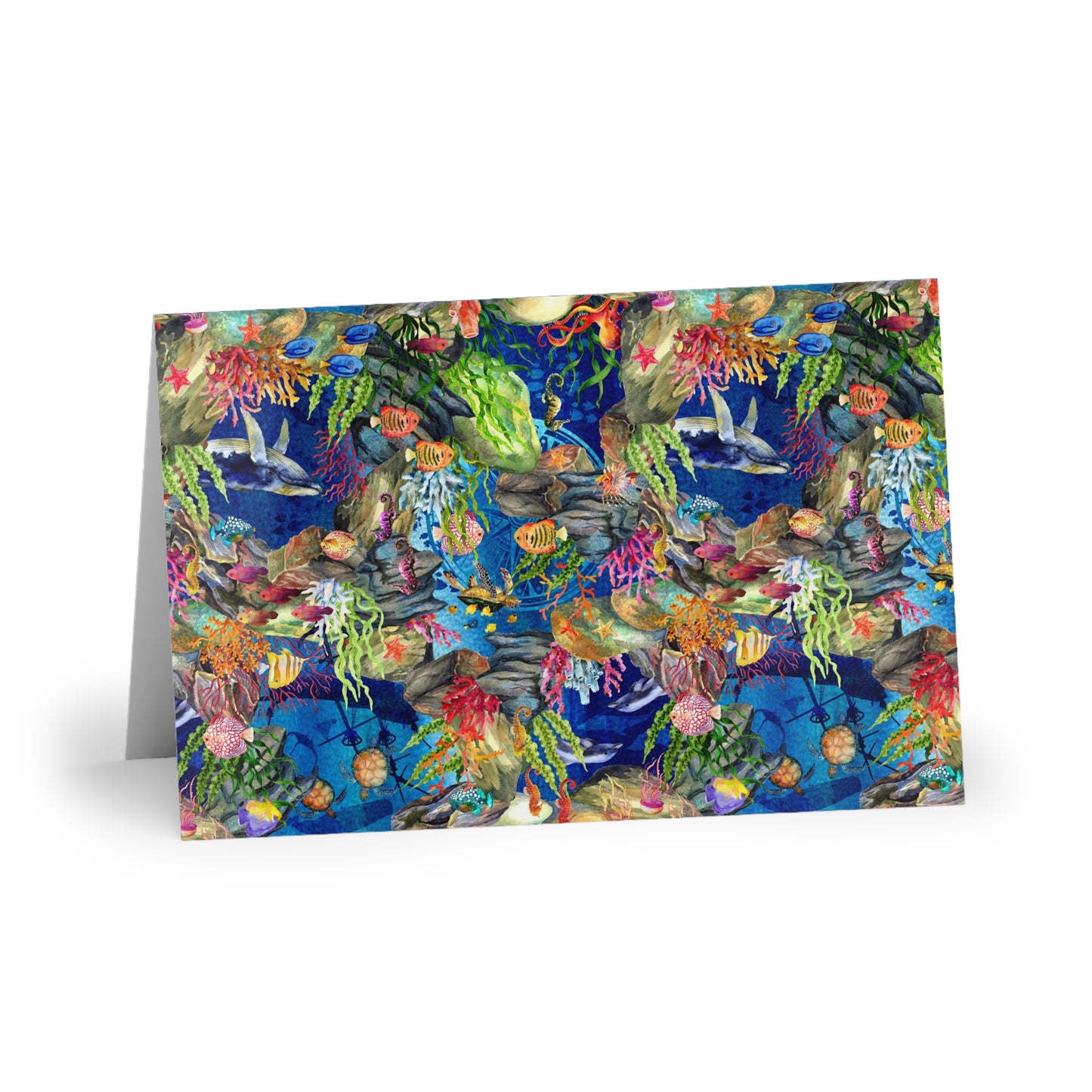 NOTE CARDS: CALYPSO [Undersea Life]