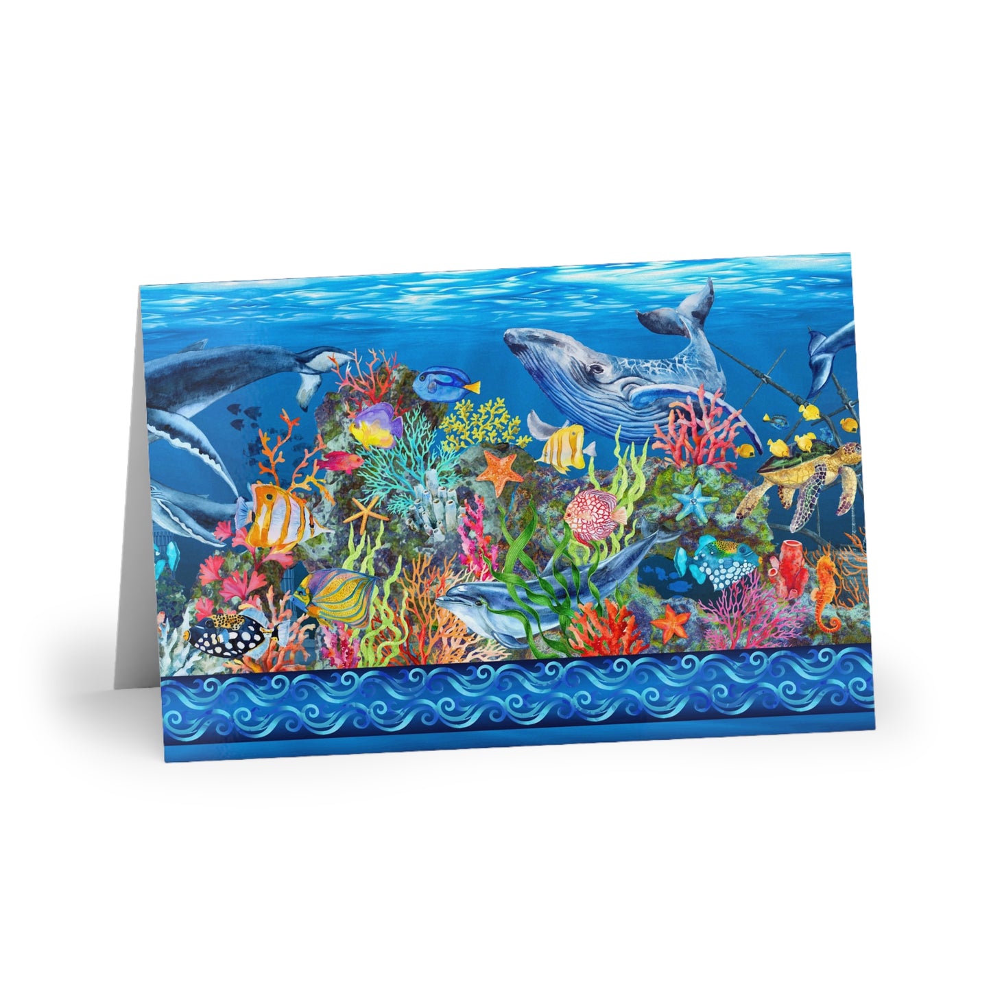 NOTE CARDS: CALYPSO [Undersea Life-Border]